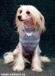 Pletený svetřík v příjemných odstínech pro psí slečnu.