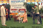 Best in Show - Akima hodnot Sandor Szabo z Maarska.