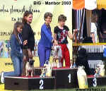 CAC Maribor - Akim - Winner BIG. Thanks Mrs. Daniela Gajic.