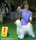 Cody z Haliparku - Best junior of Breed - Golden Trophy - Lige 2003