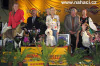 Best in Show 2005