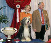 Res. BIS- Int/CZ/SK/B/NL/GB Firstprizebears Apache, maj. Conny a Joop Hartmanovi zBelgie, judge: Hans Mller, prezident FCI, handler: Lenka Klmov, CZ