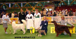 Best in Show Opole 2005