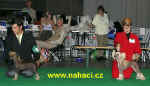 Competiton for CACIB female: Orchidey Orca and Gessi