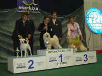 21.8. Juniorhandling - 1. msto Lucie Kotrov a Cody z Haliparku, Foto: Patrcia Hausnerov