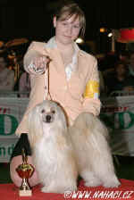 Juniorhandling 2nd place - Kati Wilke + Cody z Haliparku - chinese crested dog powder puff