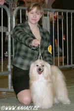 Kati Wilke and Cody in juniorhandling - Luxembourg 2006