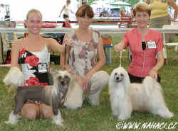 Czech dogs: HPJ Kim Pupo-Haichi, BOB Cody z Haliparku