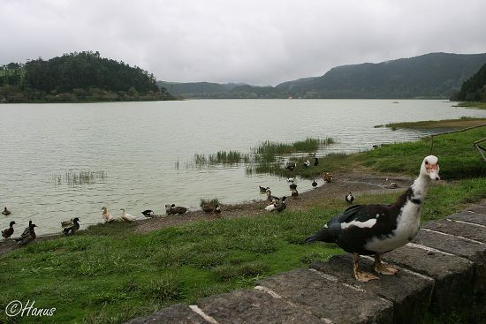 Sao Miguel 2006