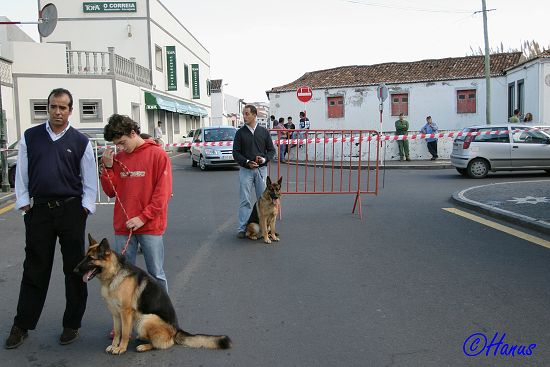 CACIB Grand Ribera 2006