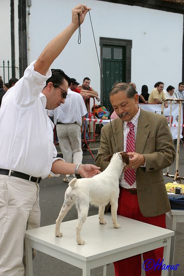 CACIB Grand Ribera 2006