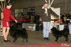 BOB + Derby winner spitz - manel Jansovi vystavuj