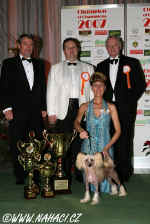 Champion of Champions 2007 - Ich. Gessi Modrý květ, Mr. Štefan Štefík, Denis Kuzejl, Hans Müller