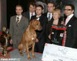 ampion ampion 2005 -  Rhodesk ridgeback; Ascot Alta Mirano; P; maj. Vlek Marek