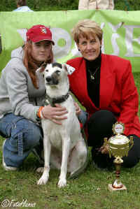 Prask voek 2006 - zvtzila fenka, kterou jsem vybrala z kategorie vysokonohch fen. Te u chpu, e je radost pro kadho rozhodho, kdy "jeho" vtz vyhraje i Best in Show :)))