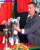 Youre my Man of Honeycroft - i na druh vstav zskal titul reserve Puppy Best in Show.