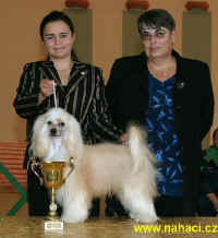 Juniorhandling II. kategorie 9.10.2005 - 1. msto - Lucie Kotrov a Ich. Cody z Haliparku, rozhod Vladimra Tich.