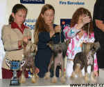 The breeders group "Sasquehanna" - Emanor, Ekstern, Angor, breeder: Malgorzata Supronowicz, Poland