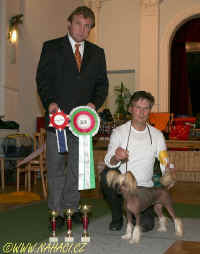 CCD BOB - Ch. Naomi Modr kvt, breeder + owner Ji Pospil, judge: Vlastislav Vojtek, SK