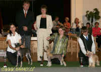 Nejlep dorost/- Best Puppy 2007