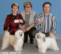 Left: BOB + National winner male Ich. Cody z Haliparku, right: National winner female Ch. Lusy Modr kvt, judge: Olga Dolejov