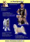 Our Dogs Annual 2006 - stanice z Haliparku
