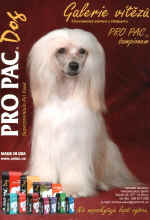 Codýsek šampionem firmy ProPac 2007 - vyšel i na kalendáři ProPac 2008 a v Planetě zvířat 11/2007...